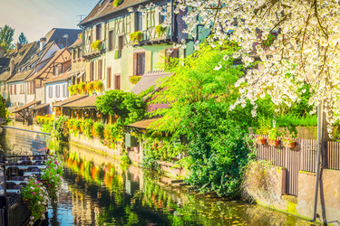 Similar image 22501634