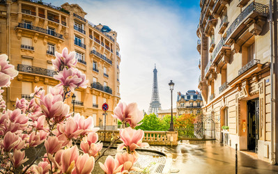 Similar image 22501672