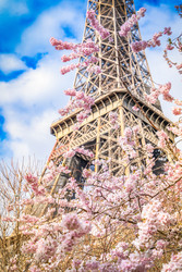 Similar image 22501677