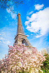 Similar image 22501679