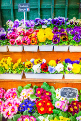 Similar image 22501688