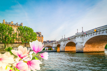 Similar image 22501691