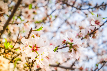 Similar image 22501704