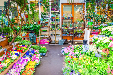 Similar image 22501706