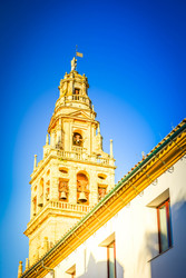 Similar image 22501712