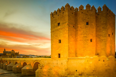 Similar image 22501719