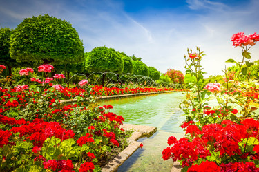 Similar image 22501720