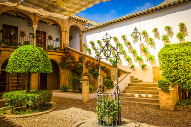 Similar image 22501725