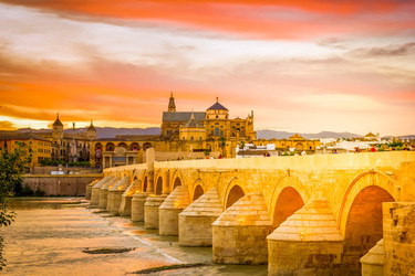 Similar image 22501730