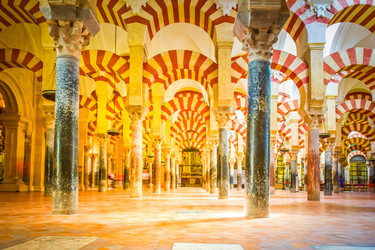 Similar image 22501732