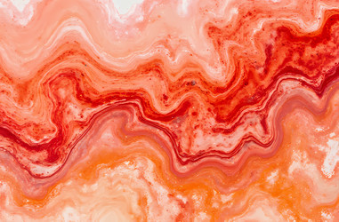 Similar image 22493992