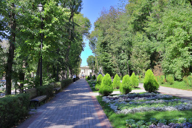 Similar image 22488129