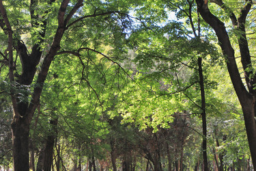 Similar image 22488130