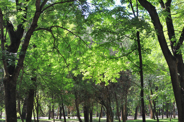 Similar image 22488131