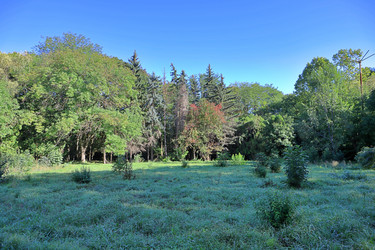 Similar image 22488140