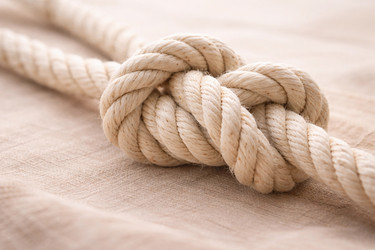 Similar image 22479996