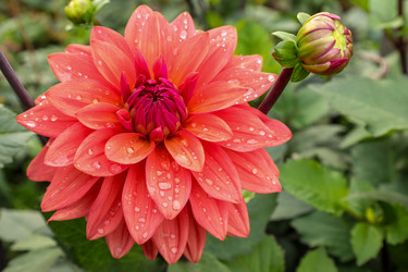 Similar image 22488170