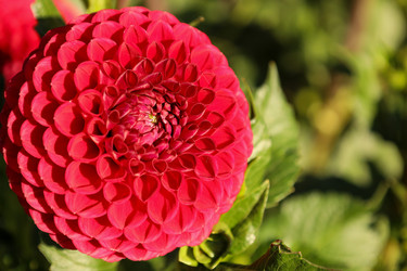 Similar image 22488172