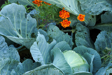 Similar image 22488173