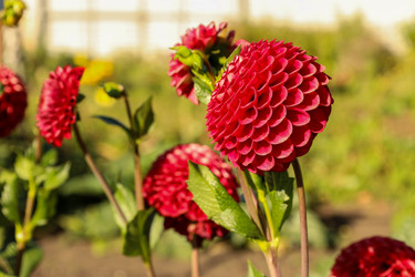 Similar image 22488174