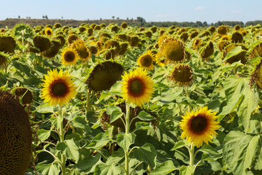 Similar image 22488177