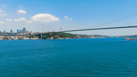 Similar image 22488519