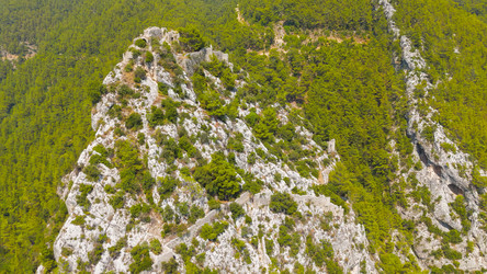 Similar image 22488532