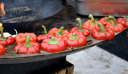 Similar image 22488133