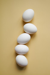 Similar image 22488143