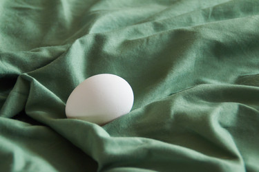 Similar image 22558911