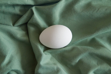 Similar image 22497682