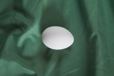 Similar image 22523010