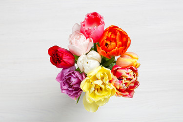 Similar image 22497561