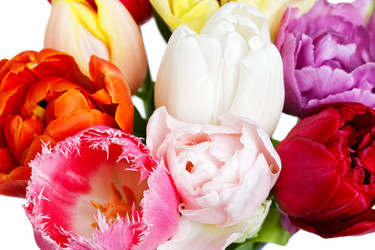 Similar image 22497562