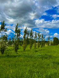 Similar image 22489912