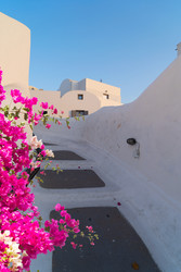 Similar image 22501790