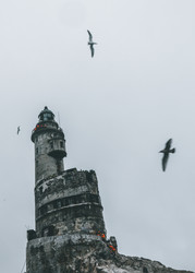 Similar image 22488260