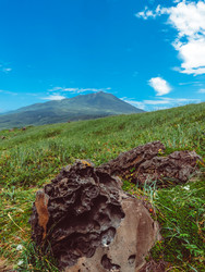 Similar image 22488267