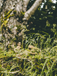 Similar image 22488278