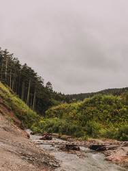 Similar image 22488280