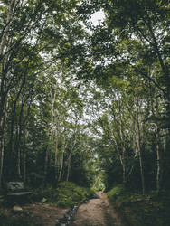 Similar image 22488281