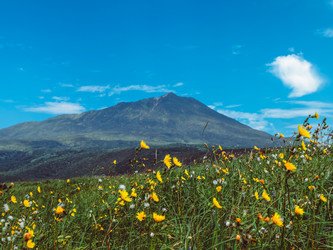 Similar image 22488282