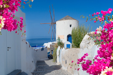 Similar image 22501640