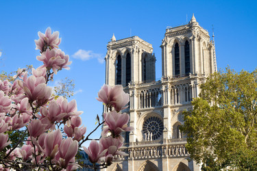 Similar image 22501655