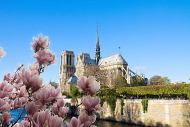 Similar image 22501656