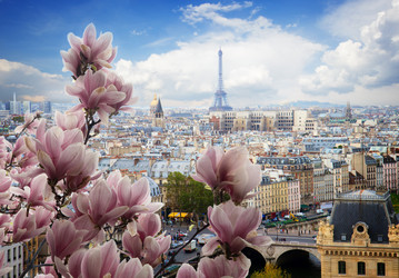 Similar image 22501681