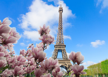 Similar image 22501686