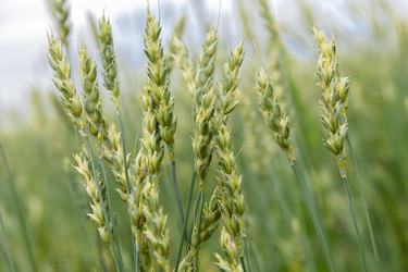 Similar image 22492195