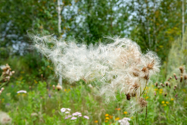 Similar image 22492255