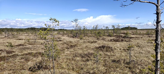 Similar image 22488117